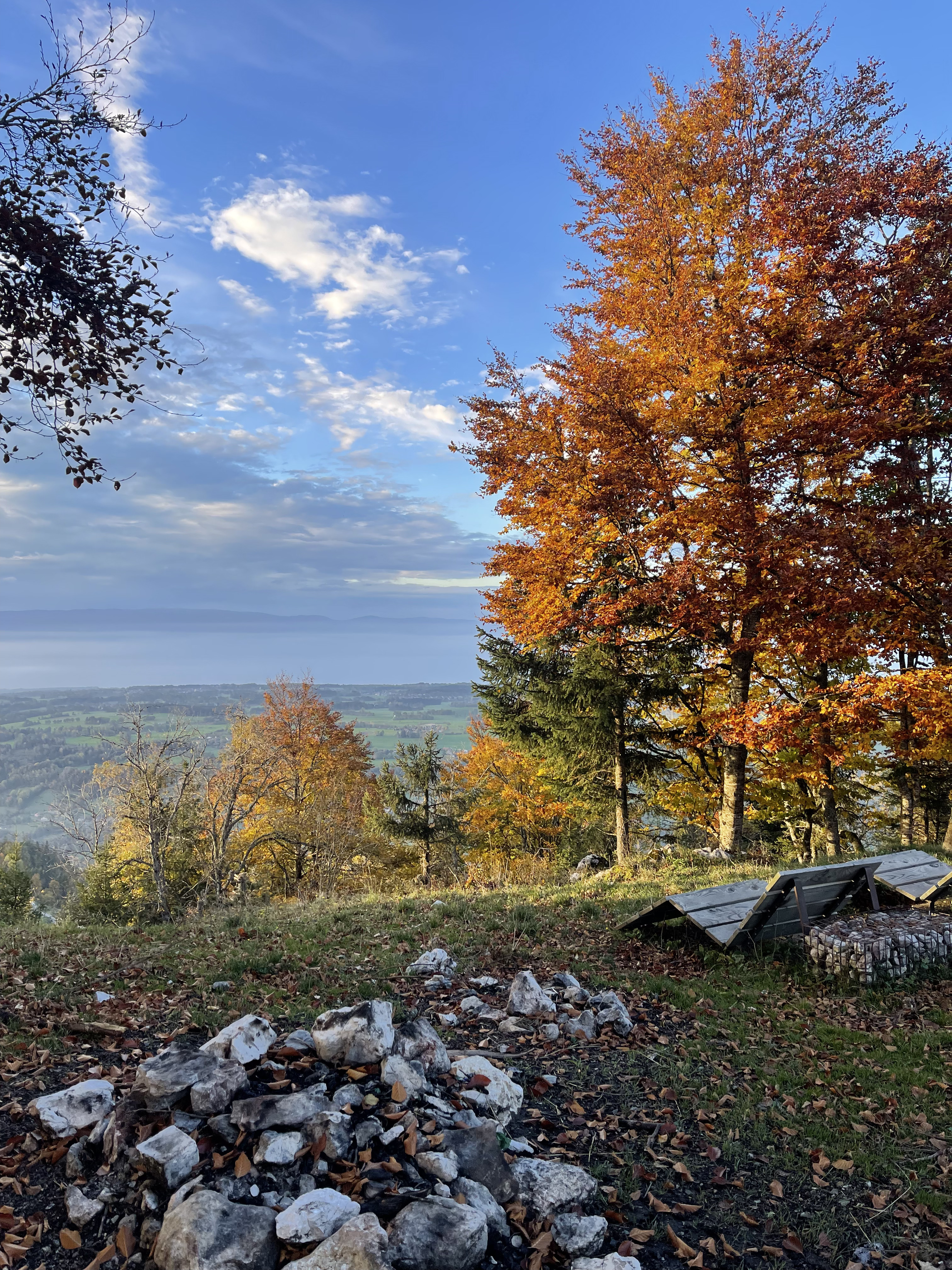 Couleurs d'automne avec vue lointaine sur le lac